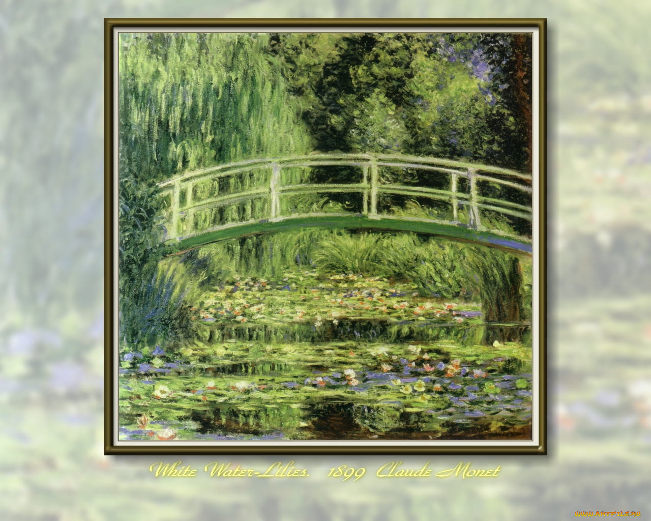 claude, monet, 